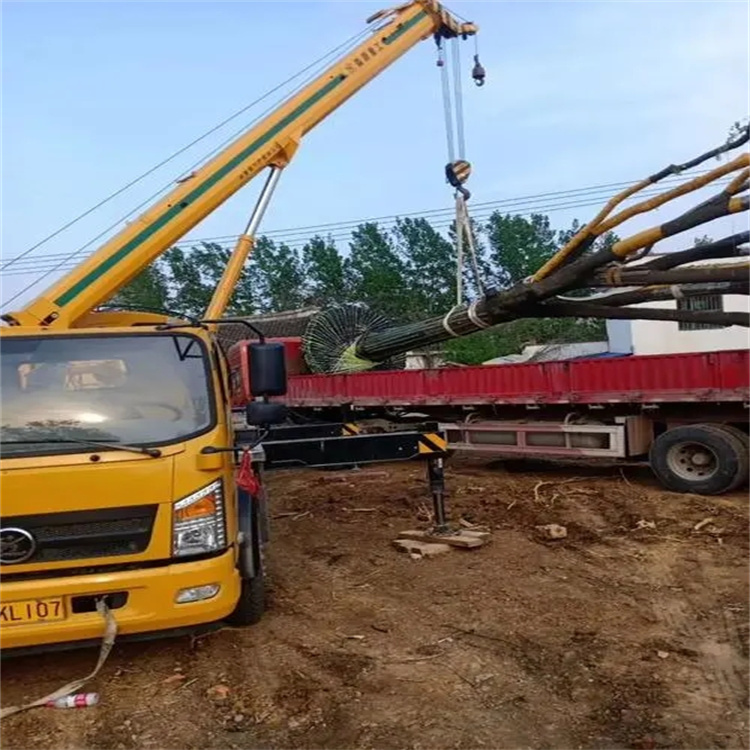 麻城100吨吊车租赁费用怎么算？3大关键因素+省钱技巧全解析